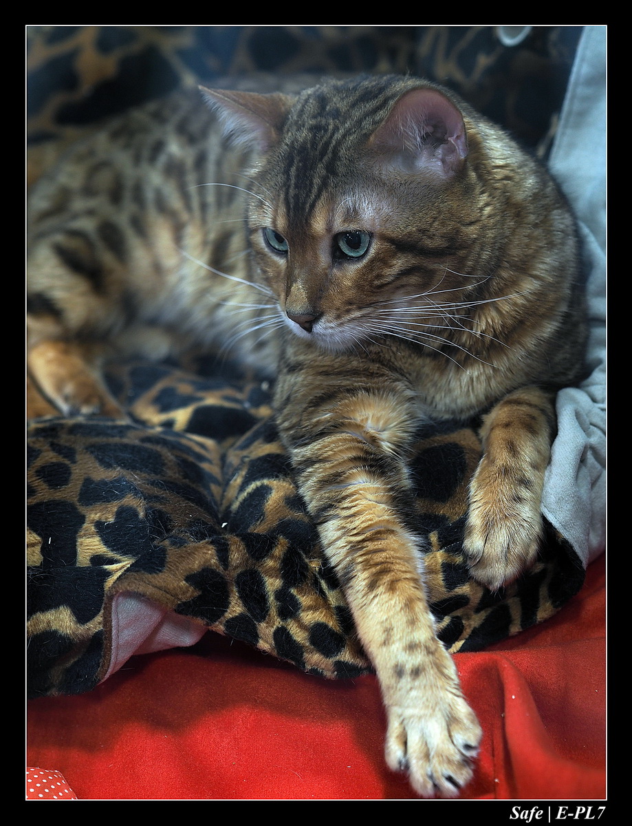 2020 - 02 - Salon agriculture 36